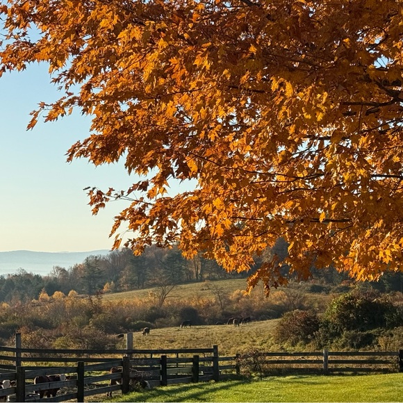 Meet your Posher, Erin - Picture 1 of 1